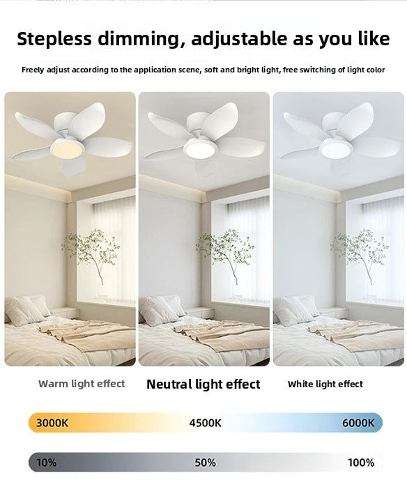 77ce843c-959d-4af9-a0c5-950d6ba0055b