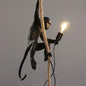 Art creative monkey Pendant lamp White black Resin animal hemp rope wall lamp