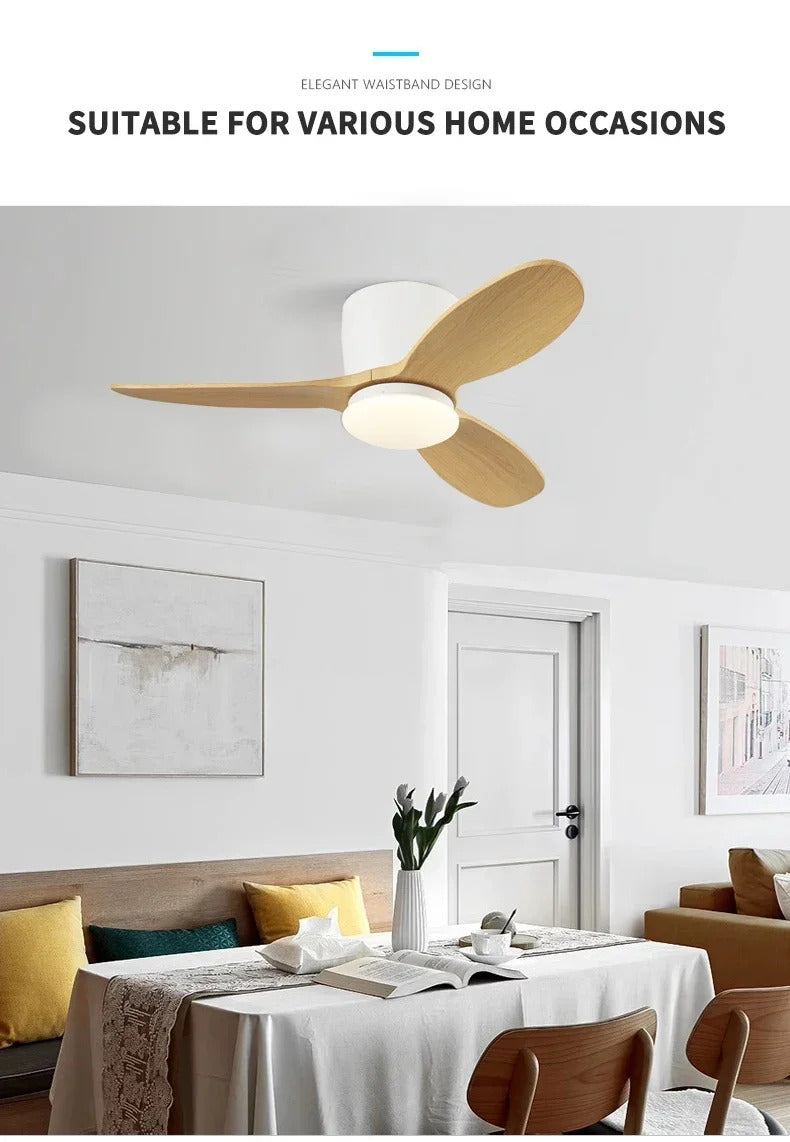 1d914d8d-574c-4d78-ae41-a73c72b68593