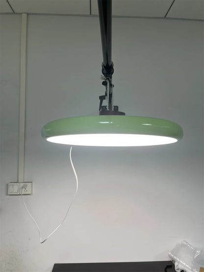 Colorful Ceiling Lighting LED Living Room Kitchen Home Decor Lighting