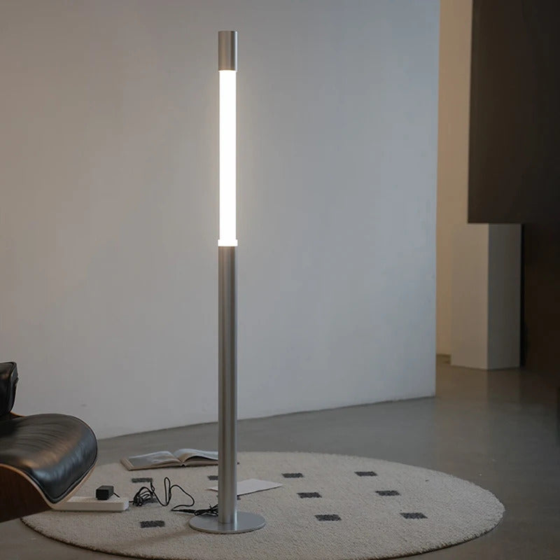 LED liftable Floor Lamp Living Room touch lamp Bedroom Bedside Decor Ambient Lighting