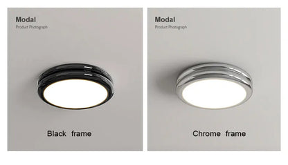 Modern Led Ceiling Light 110v 220v Living room Bedroom Ceiling Light