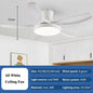 Nordic Large Ceiling Fans light Modern Natural wood color Simple Remote Control Ceiling Fan lamp