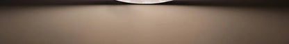Lunar LED Ceiling Light Minimalist Bedroom Kitchen Balcony Decor Lighting Fixture