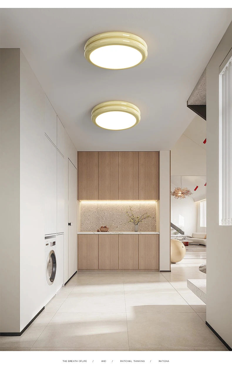 Modern Led Ceiling Light 110v 220v Living room Bedroom Ceiling Light