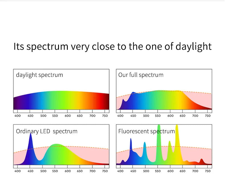 Dining table light modern chandelier Round Reading Desk Light