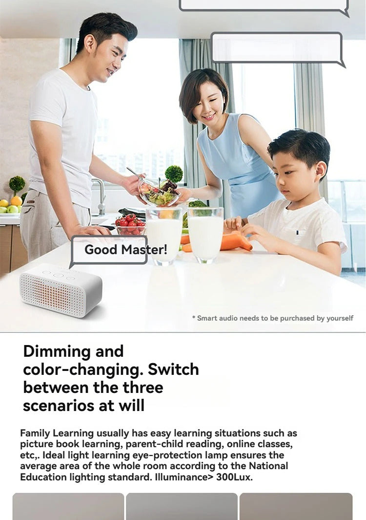 Modern Bladeless Ceiling Lamp Fan Living Room Silent Air Circulation Fan