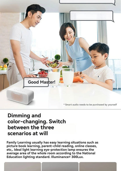 Modern Bladeless Ceiling Lamp Fan Living Room Silent Air Circulation Fan