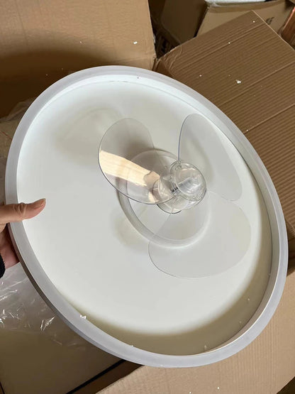 Modern LED Ceiling Fan Light Remote Dimming 6 Levels Silent Living Room lighting