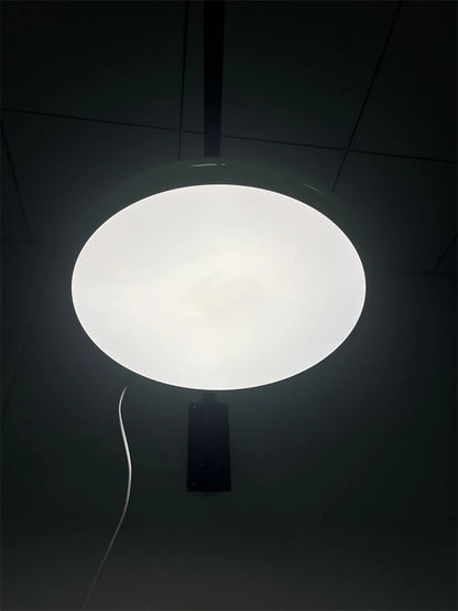 Colorful Ceiling Lighting LED Living Room Kitchen Home Decor Lighting