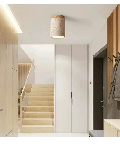 Terra Cylinder Ceiling Light