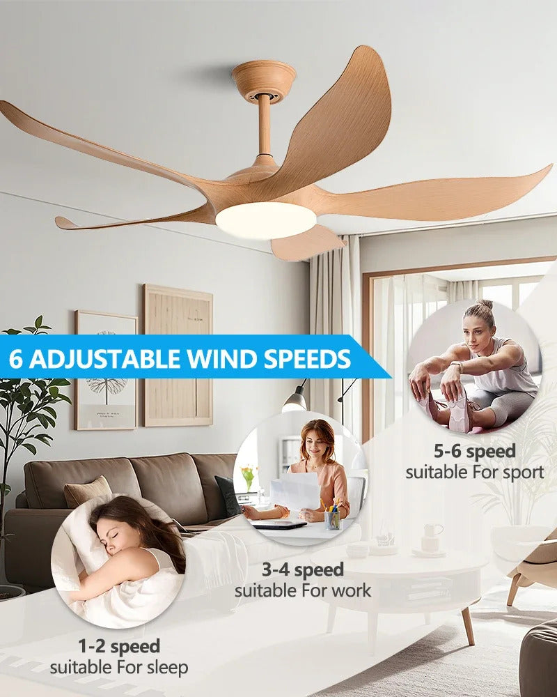 3bc8ba5c-940e-4517-806f-dda9d40a08f6