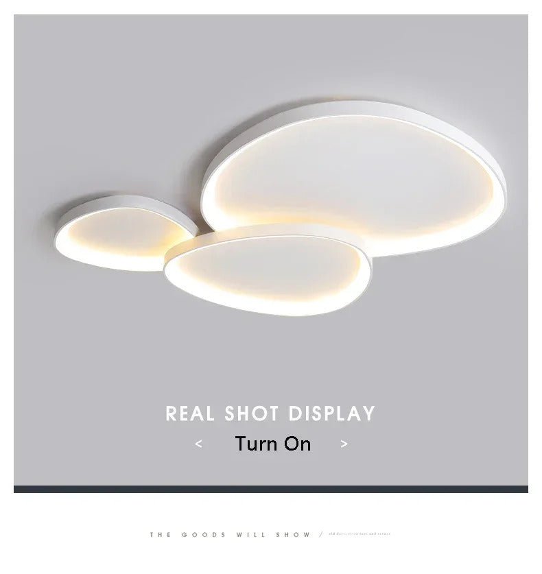 White ceiling light Home Bedroom ceiling lamp