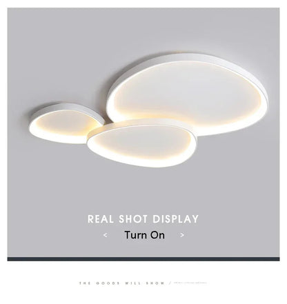 White ceiling light Home Bedroom ceiling lamp