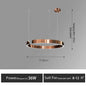 Nordic Led Ring Chandelier Modern Design Rose Gold Black White and Gold Lamp