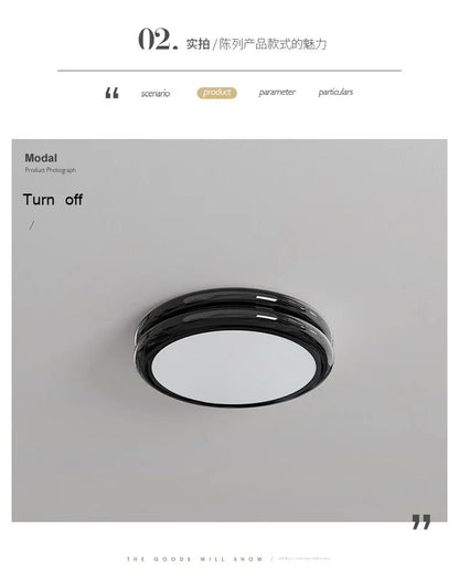 Modern Led Ceiling Light 110v 220v Living room Bedroom Ceiling Light